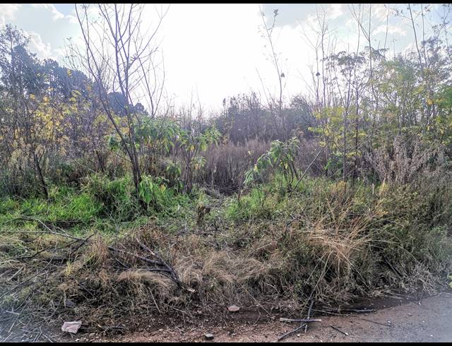 22,000M² VACANT LAND FOR SALE IN VULCANIA SOUTH